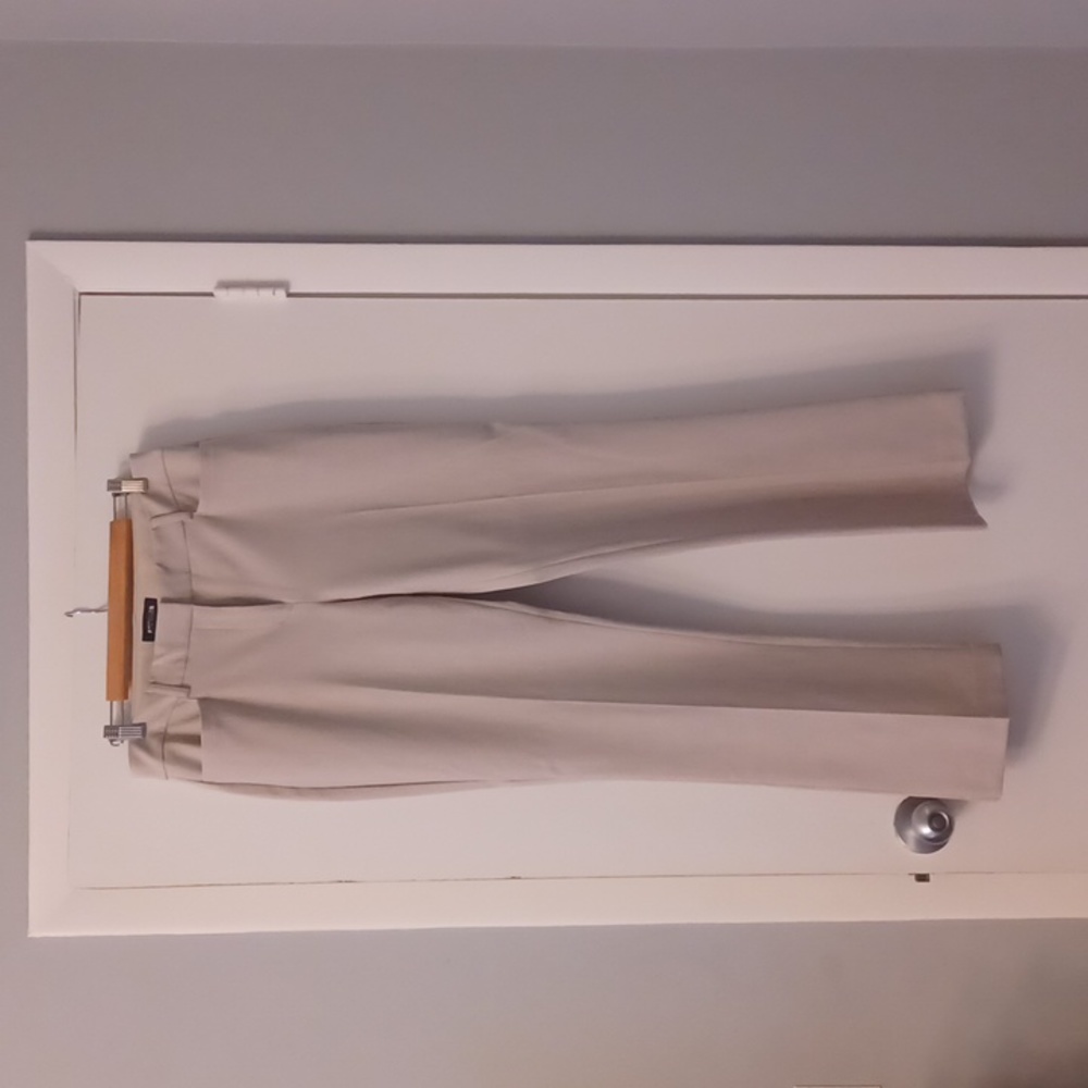 Express dress pants- columnist